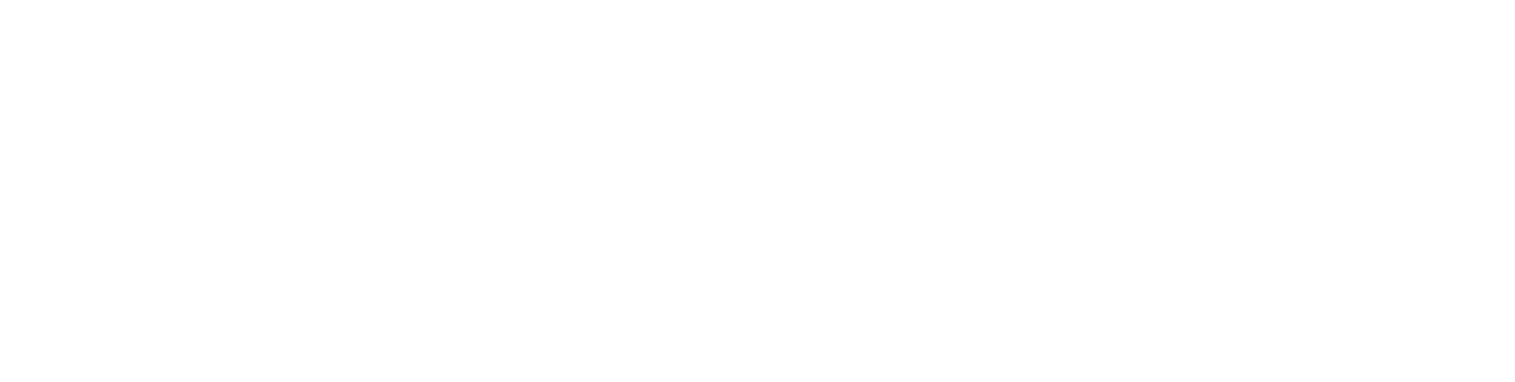 Digitalni element